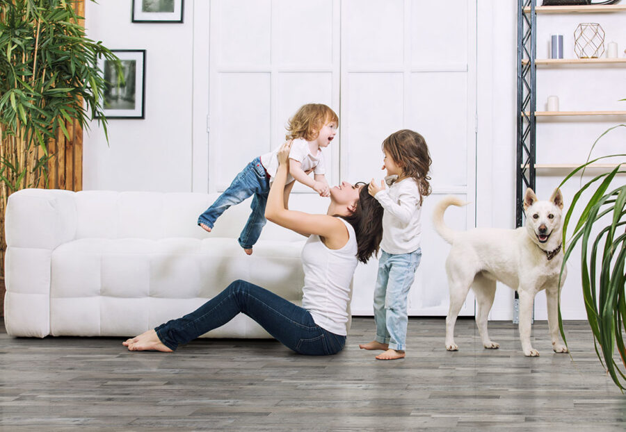 Mezcla Cyrus LVT- V&S Carpet and Flooring Inc